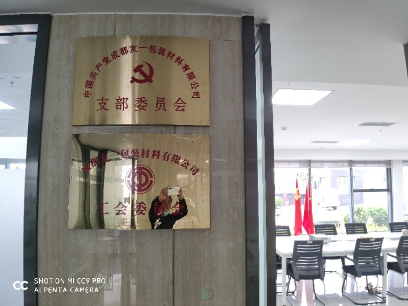 热烈祝贺1xBET集团成都分公司党支部在2020年3月11日授牌建设，，支部书记曹云(行政部司理)